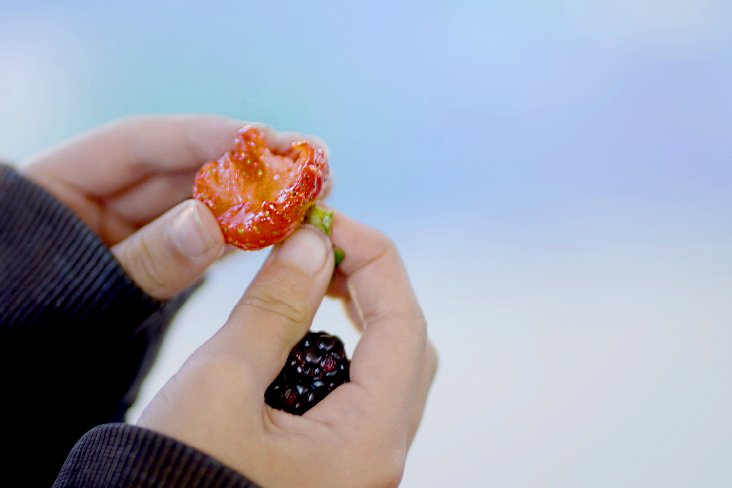 students hands holding berries